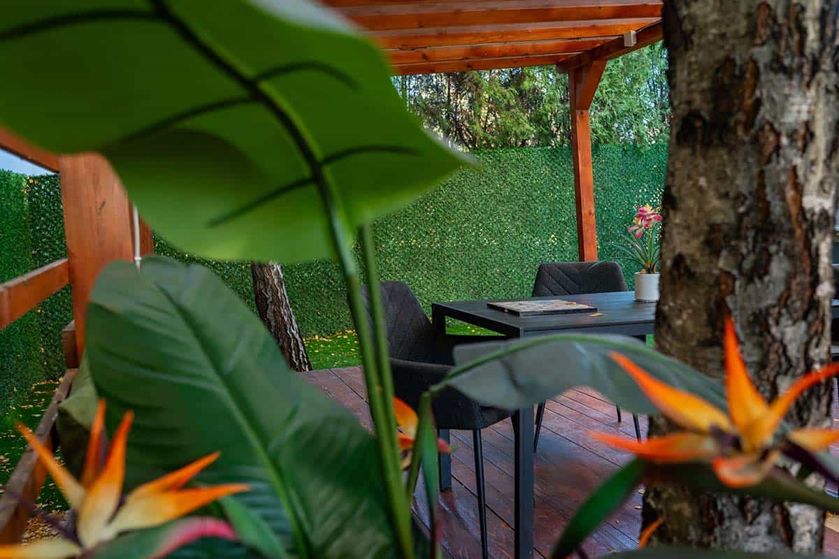 Peaceful Courtyard Peaceful courtyard at MedTiM Hospital for relaxation during treatment and recovery